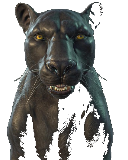 Black Jaguar